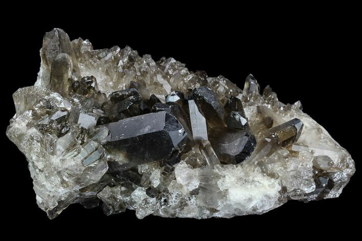 Dark Smoky Quartz Crystal Cluster - Brazil #124585